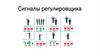 Сигналы регулировщика