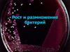 Рост и размножение бактерий