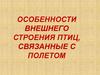 Особенности внешнего строения птиц, связанные с полетом