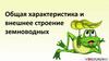 Общая характеристика и внешнее строение земноводных