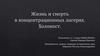 Жизнь и смерть в концентрационных лагерях. Холокост