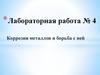 Коррозия металлов и борьба с ней. Лабораторная работа
