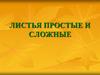 Листья простые и сложные