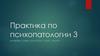 Практика по психопатологии №3
