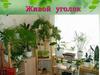 Живой уголок