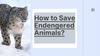 How to save endengered animals