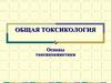 Основы токсикокинетики
