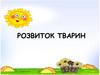 Розвиток тварин
