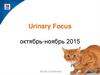 Urinary Focus