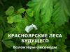 Красноярские леса будущего. Волонтёры-лесоводы
