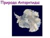Природа Антарктиды