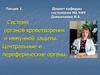 Система органов кроветворения и иммунной защиты. Центральные и периферические органы