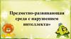 Предметно-развивающая среда с нарушением интеллекта