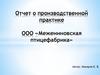 Отчет о производственной практике ООО «Межениновская птицефабрика»