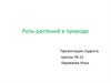 Роль растений в природе