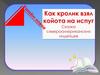 Сказка "Как кролик взял койота на испуг"