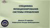 Специфика функционирования системы управления