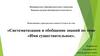 Систематизация и обобщение знаний по теме «Имя существительное