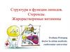 Структура и функции липидов. Стероиды. Жирорастворимые витамины