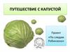 Путешествие с капустой