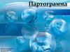 Партограмма – точное отражение динамики родового процесса с обязательной характеристикой состояния матери и плода