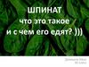 Шпинат. Что это такое и с чем его едят?