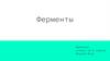 Ферменты