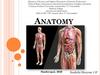 Anatomy is the identification and description