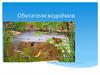 Обитатели водоёмов