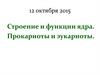 Строение и функции ядра клетки. Прокариоты и эукариоты