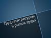 Половозрастной состав населения России. Трудовые ресурсы. Рынок труда