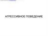Агрессивное поведение