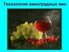 Технология виноградных вин. Классификация вин