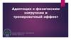 Адаптация к физическим нагрузкам и тренировочный эффект