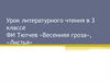 Тютчев «Весенняя гроза», «Листья»