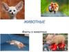 Животные. Факты о животных
