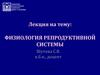 Физиология репродуктивной системы