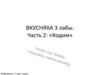 3 лабораторная. Часть 2: «Кодим»