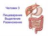 Пищеварение Выделение Размножение