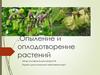Опыление и оплодотворение растений