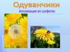 Одуванчики