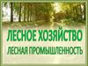 Лесное хозяйство