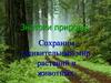 Знатоки природы. Сохраним удивительный мир растений и животных. Викторина