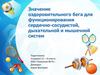 Значение оздоровительного бега для функционирования сердечно-сосудистой, дыхательной и мышечной систем