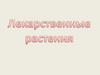 Лекарственные растения. Вопросы