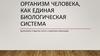 Организм человека, как единая биологическая система
