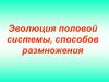 Эволюция половой системы, способов размножения