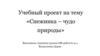 Учебный проект на тему «Снежинка – чудо природы»