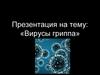 Вирусы гриппа