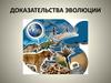 Доказательства эволюции